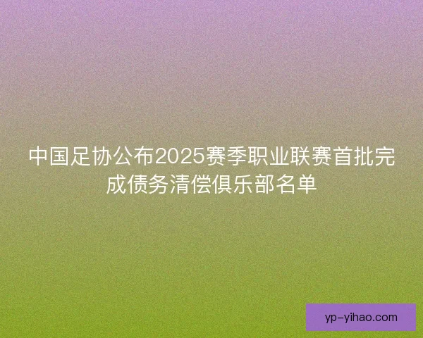 中国足协公布2025赛季职业联赛首批完成债务清偿俱乐部名单